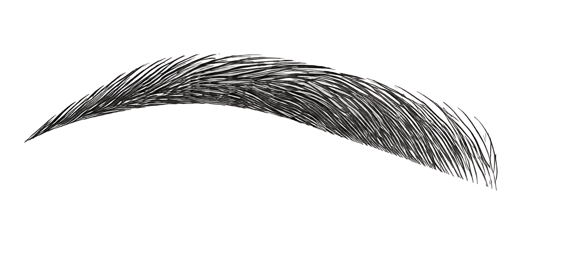 Technique mixte sourcils