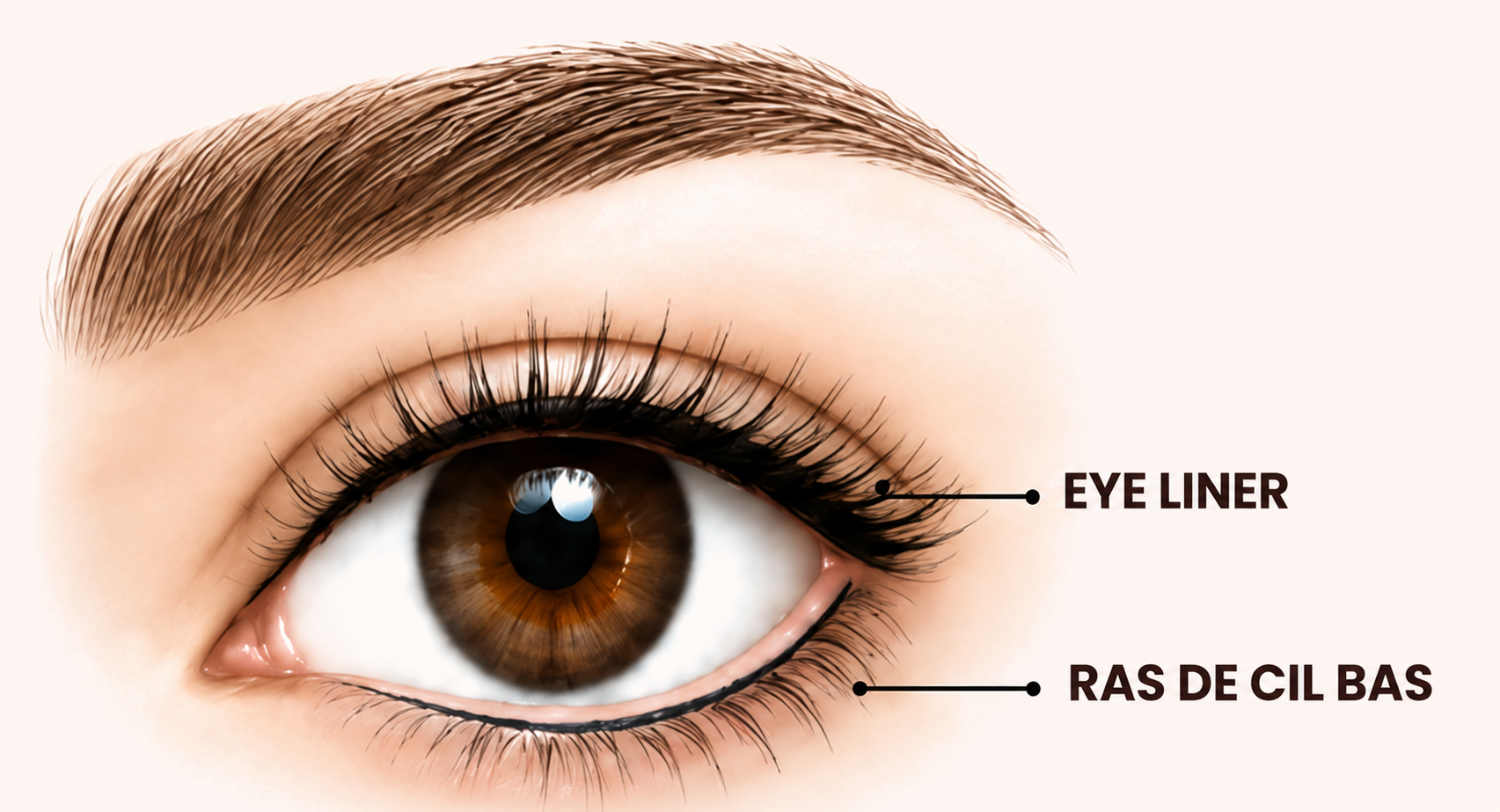 Ras de cils bas